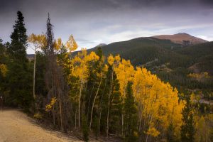 Best Places to View Fall Colors Breckenridge